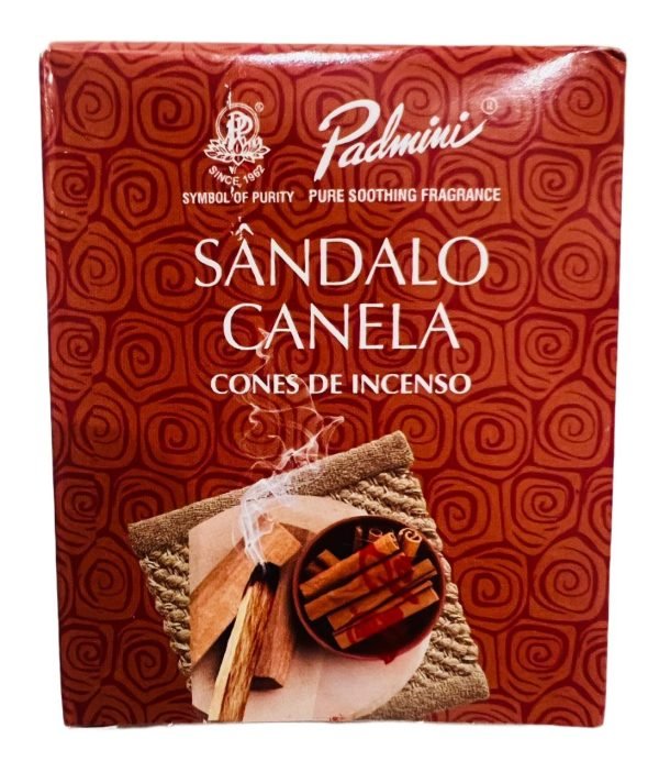 PADMINI Conos Reflujo